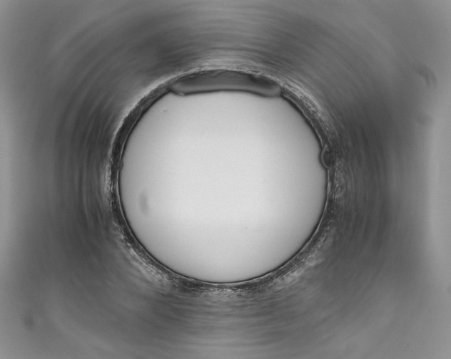 X0000111010880200907060953