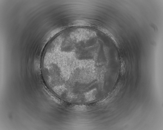 X0000111010882200907060953