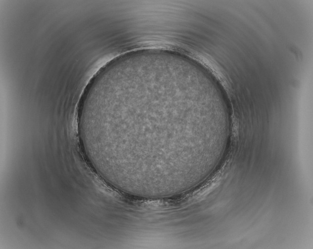 X0000111010883200907060953