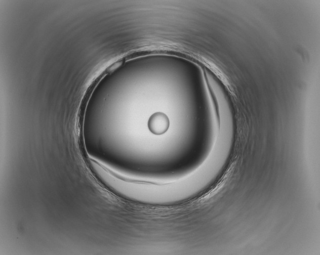 X0000111010885200907060953