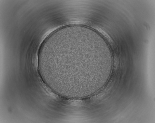 X0000111010886200907060953