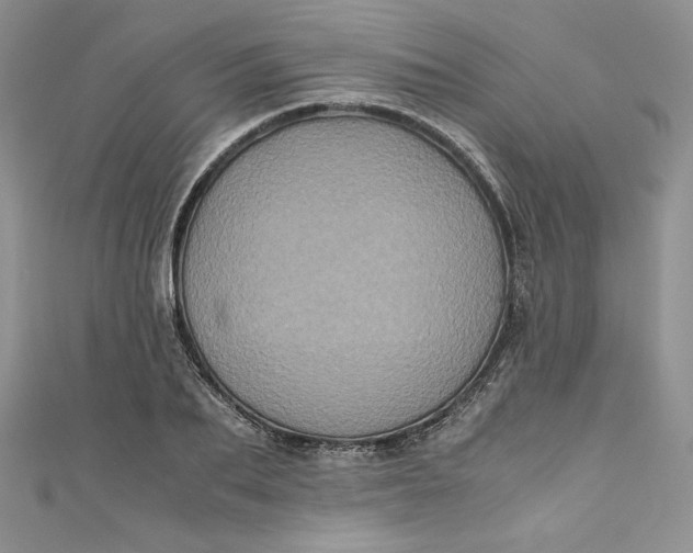 X0000111010887200907060953