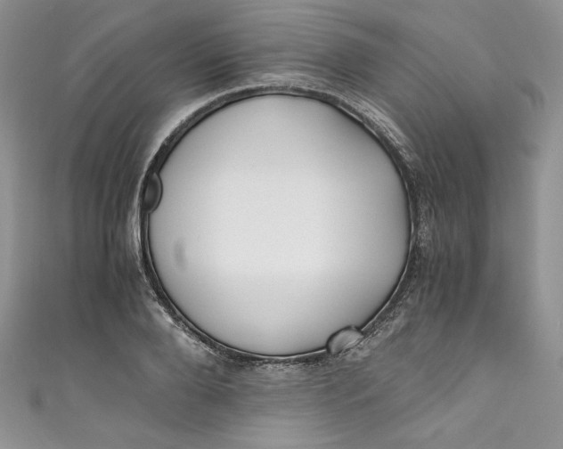 X0000111010888200907060953