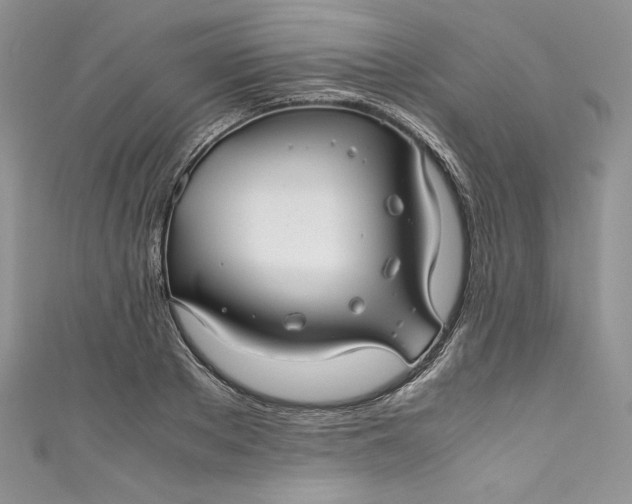 X0000111010889200907060953