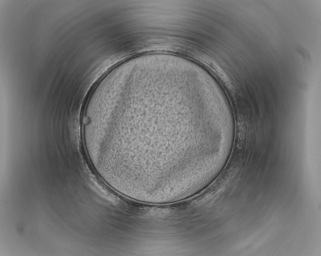X0000111010890200907060953