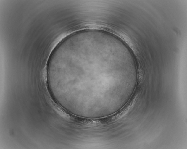 X0000111010891200907060953