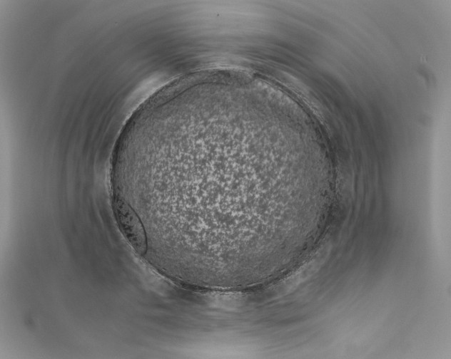 X0000111010893200907060953