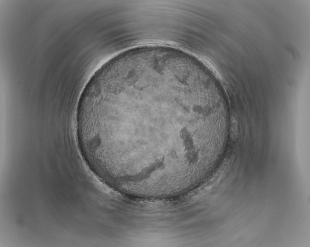 X0000111010895200907060953