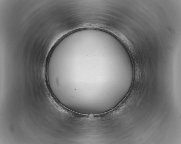 X0000111010896200907060953