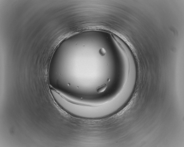 X0000111010897200907060953