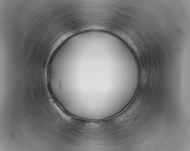 X0000111010898200907060953