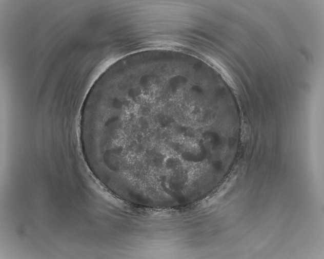 X0000111010899200907060953