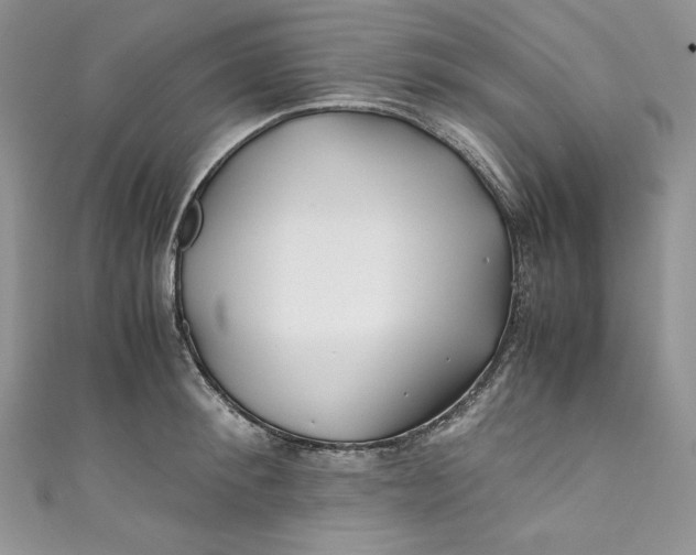 X0000111010900200907060953