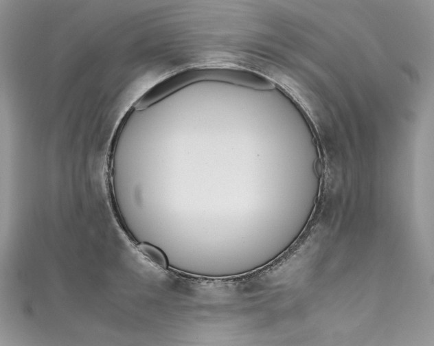 X0000111010901200907060953
