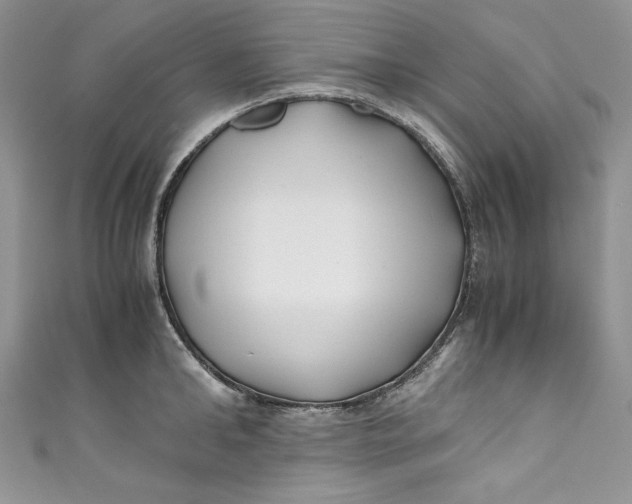 X0000111010902200907060953