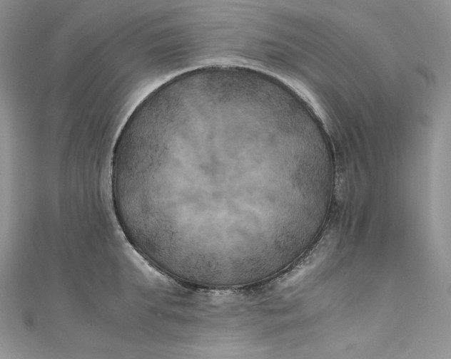 X0000111010903200907060953