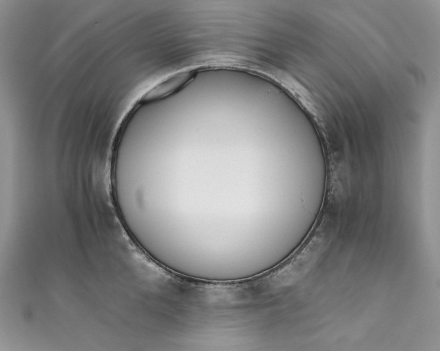 X0000111010904200907060953