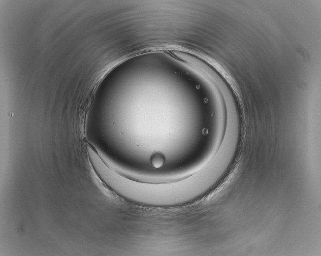 X0000111010905200907060953