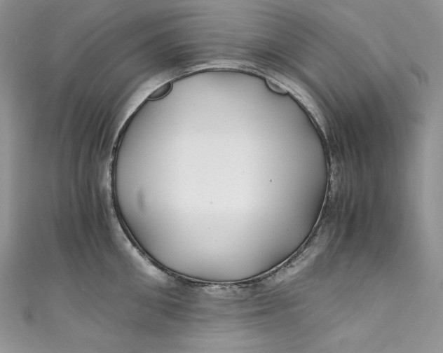 X0000111010906200907060953