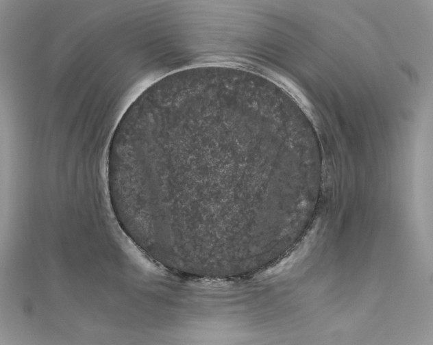 X0000111010907200907060953