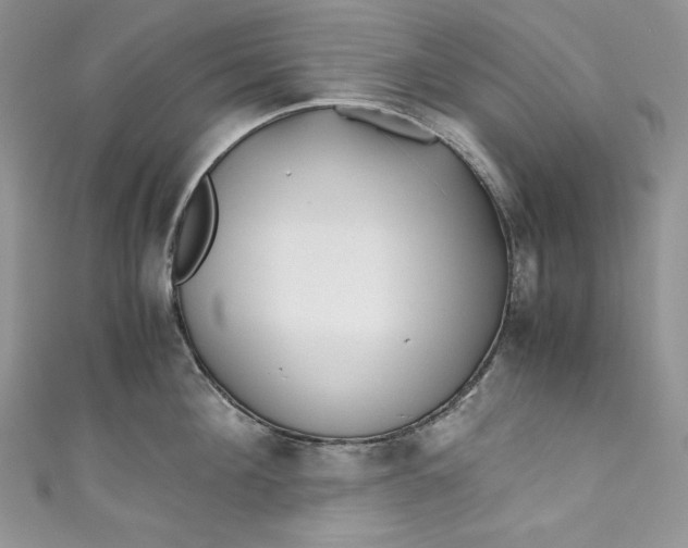 X0000111010908200907060953