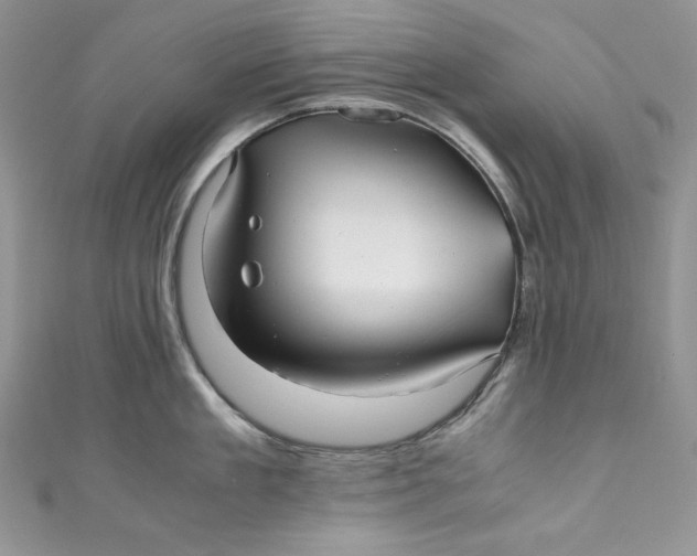 X0000111010909200907060953