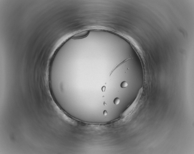 X0000111010910200907060953