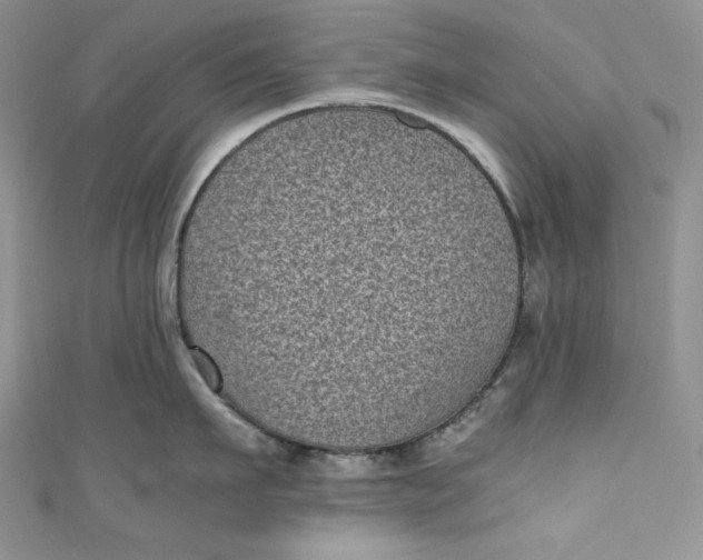 X0000111010911200907060953
