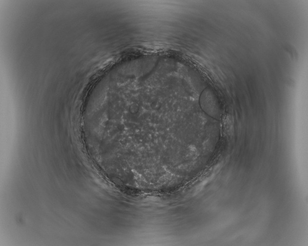 X0000111010913200907060952