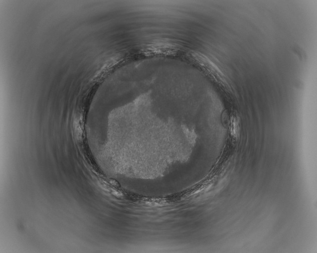 X0000111010915200907060952