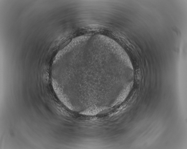 X0000111010916200907060952