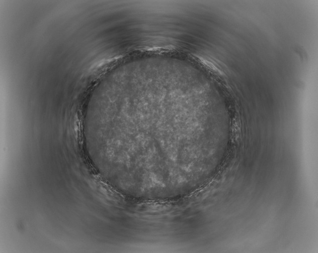 X0000111010917200907060952