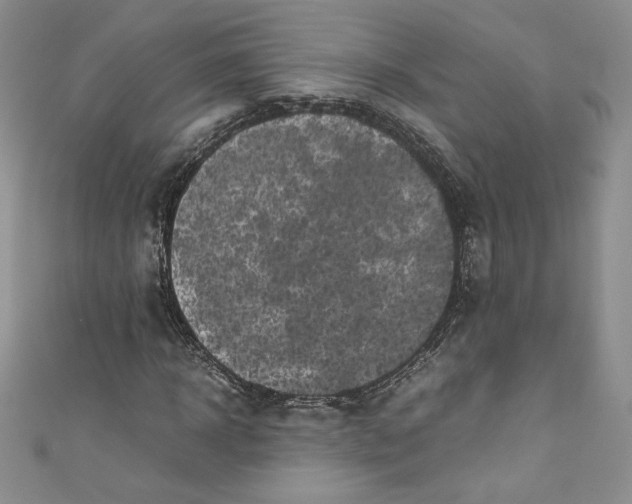 X0000111010918200907060952