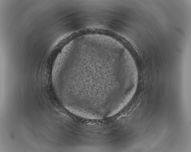 X0000111010919200907060952