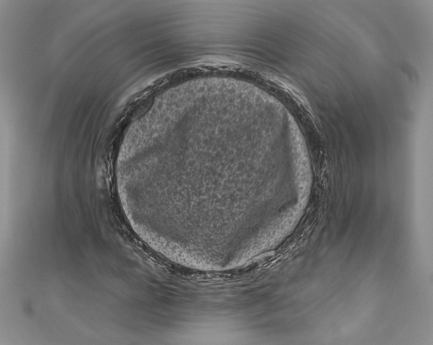 X0000111010920200907060952