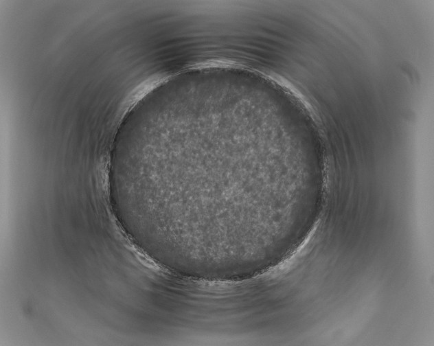 X0000111010921200907060952