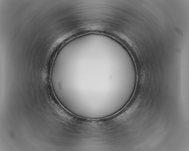 X0000111010922200907060952