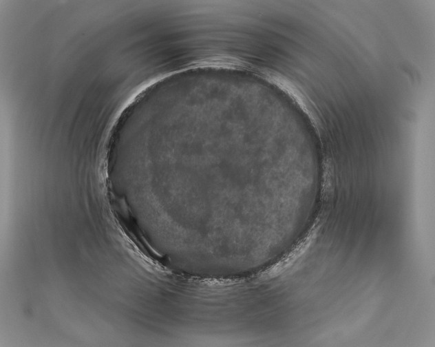 X0000111010923200907060952