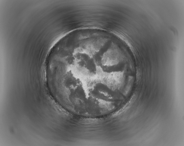 X0000111010925200907060952