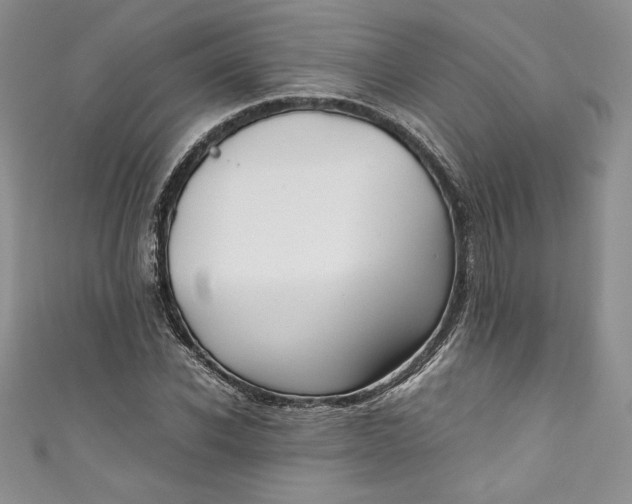 X0000111010926200907060952
