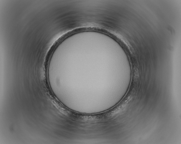 X0000111010927200907060952