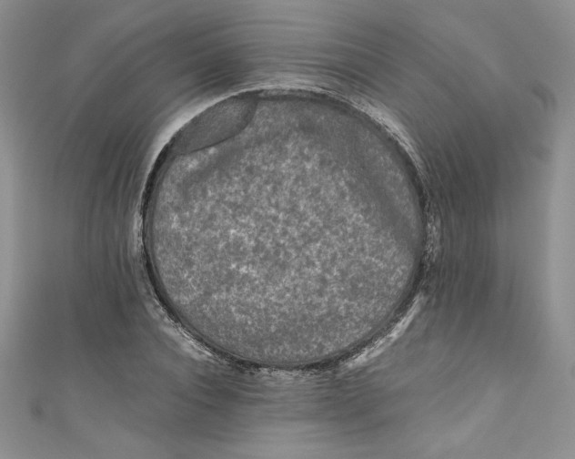 X0000111010928200907060952