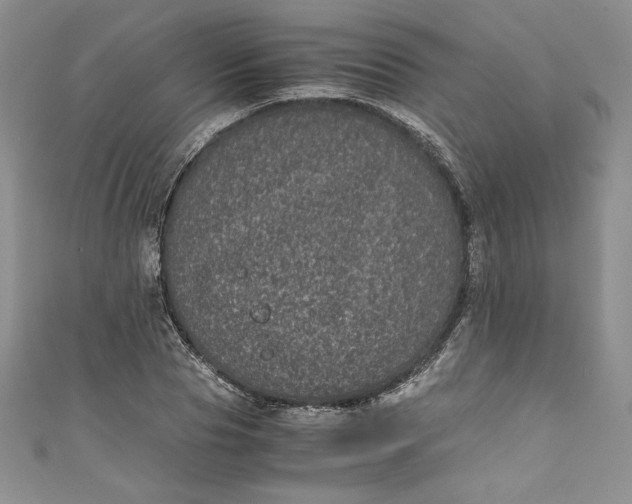 X0000111010929200907060952