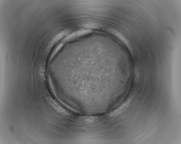 X0000111010930200907060952