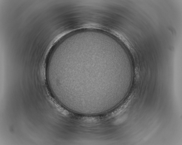 X0000111010931200907060952
