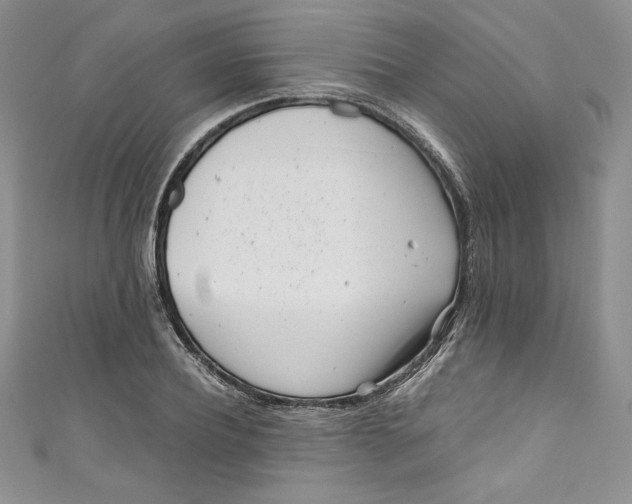 X0000111010932200907060952