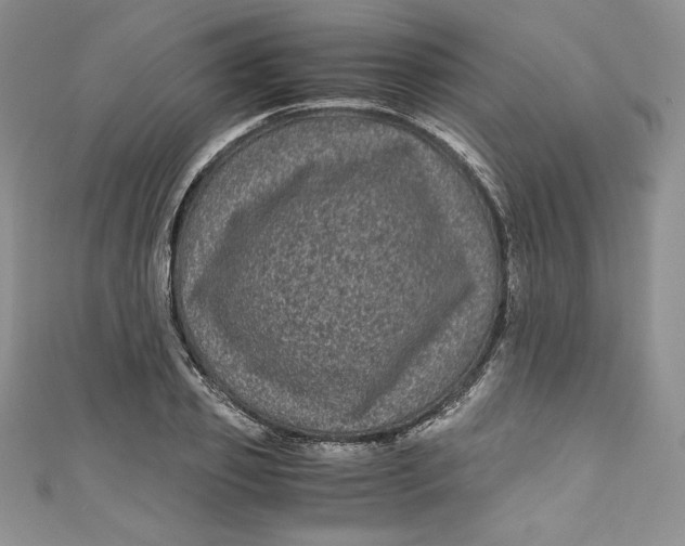 X0000111010933200907060952