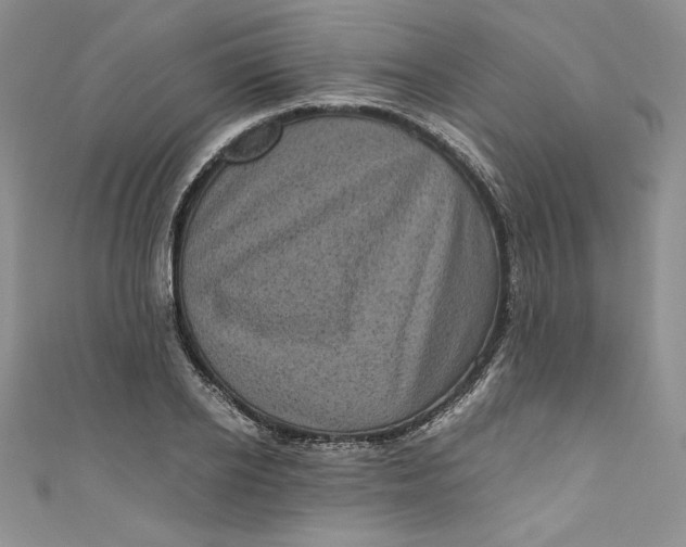 X0000111010934200907060952