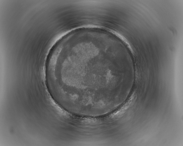X0000111010935200907060952