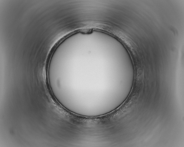 X0000111010936200907060952